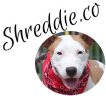 Shreddie.co