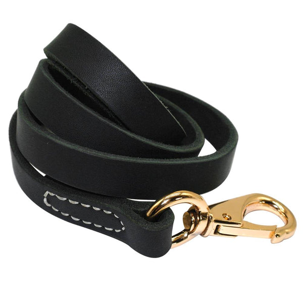 Traditional Leather Leash