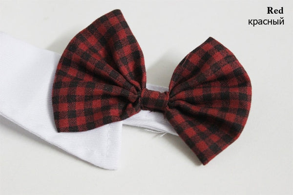 Bow Tie Collars