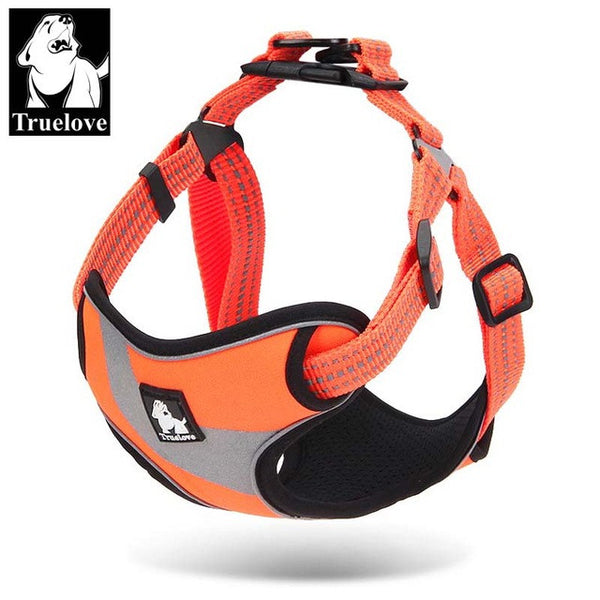 Truelove Harness