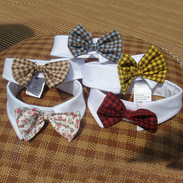 Bow Tie Collars