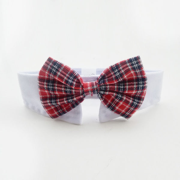 Bow Tie Collars