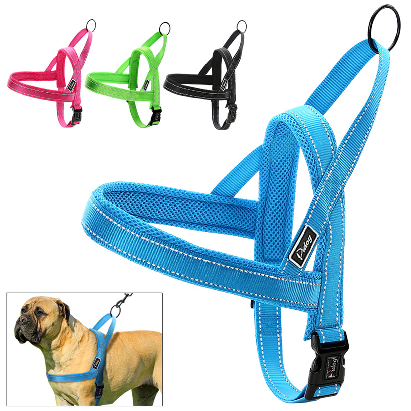 Leashes &amp; Harnesses