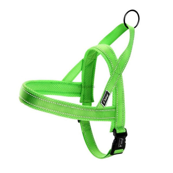 Anti-Pull Harness