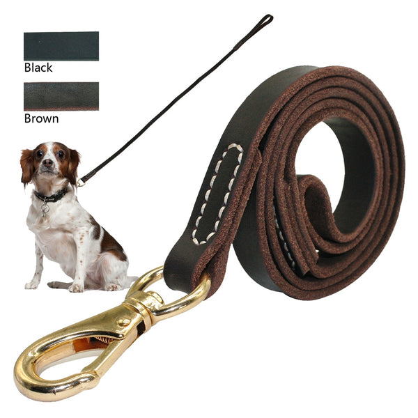 Traditional Leather Leash