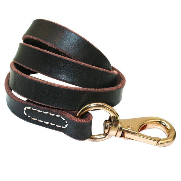 Traditional Leather Leash