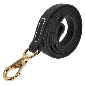 Traditional Leather Leash