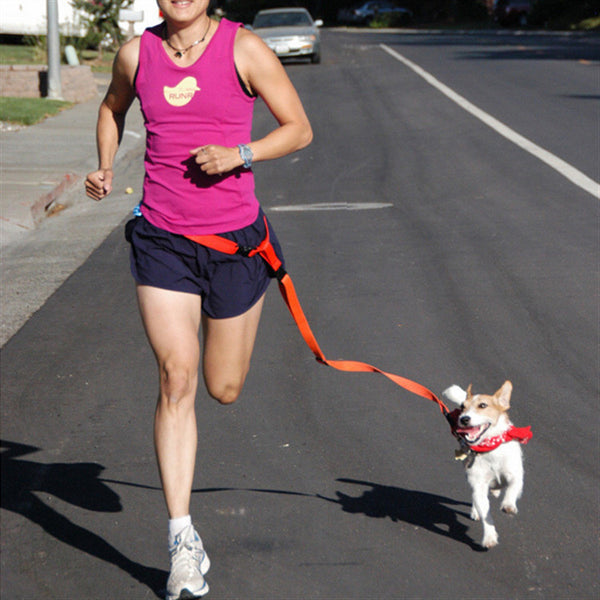 Hands free Leash Set