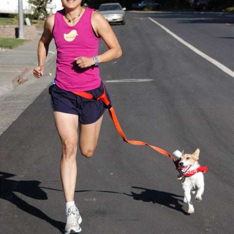 Hands free Leash Set