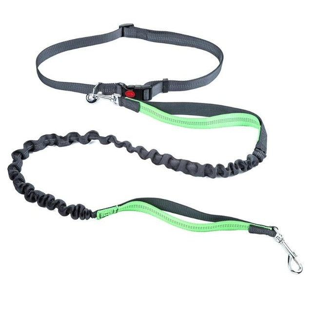 Nylon Dog Leash