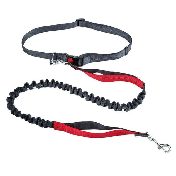 Nylon Dog Leash