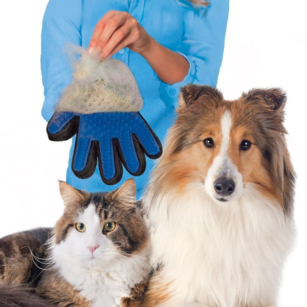 Grooming Massage Mitt